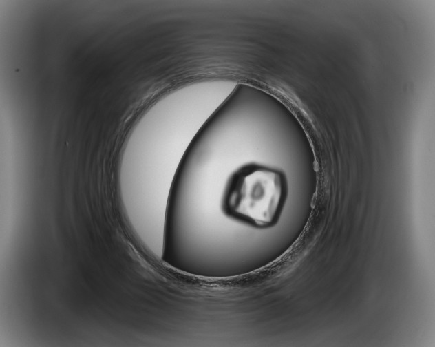 X0000085260585200703090856