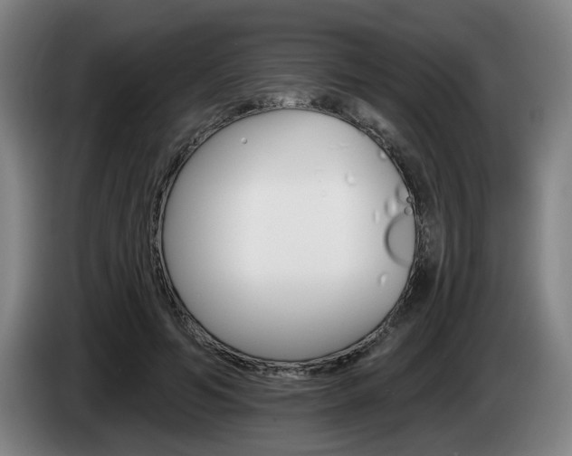 X0000085260594200703090856