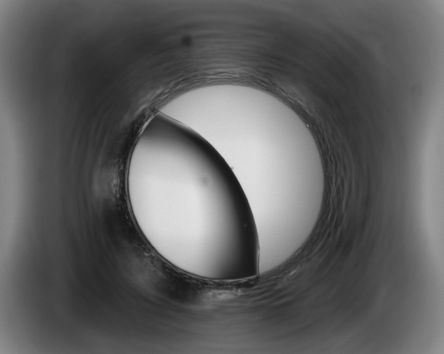 X0000085260595200703090856