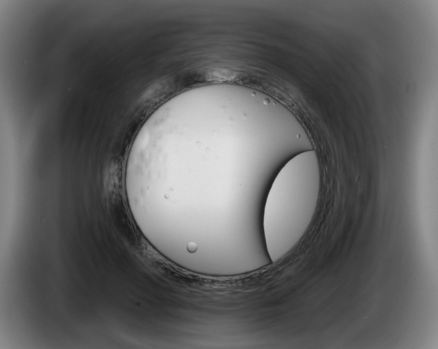 X0000085260598200703090856