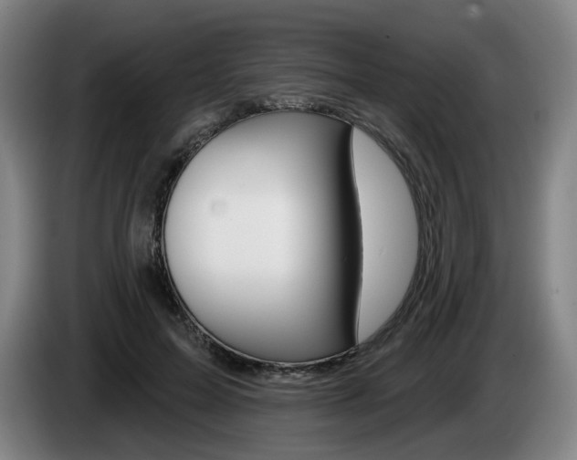 X0000085260599200703090856