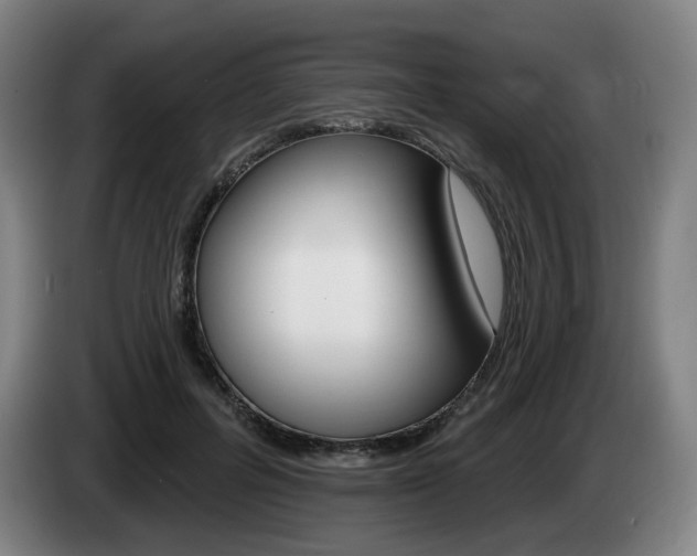 X0000085260600200703090856