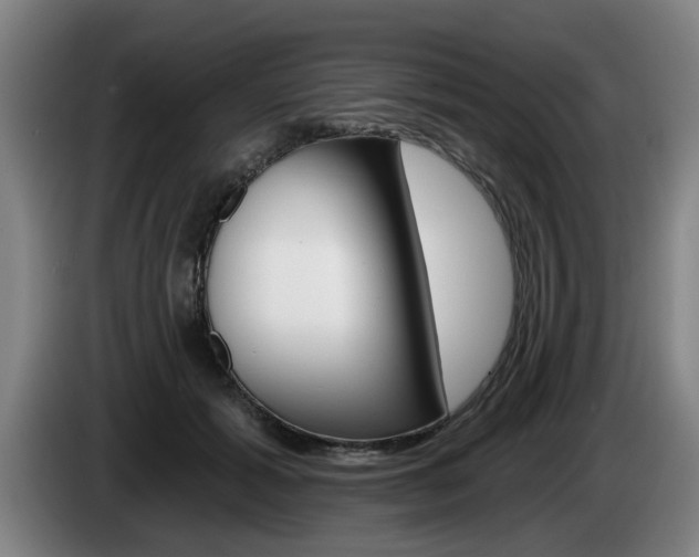 X0000085260605200703090856