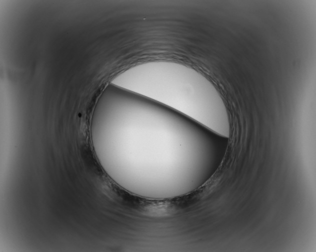 X0000085260609200703090856