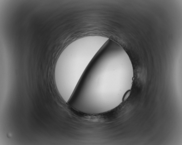 X0000085260615200703090856