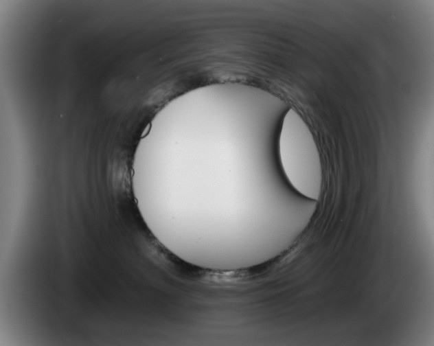 X0000085260622200703090856