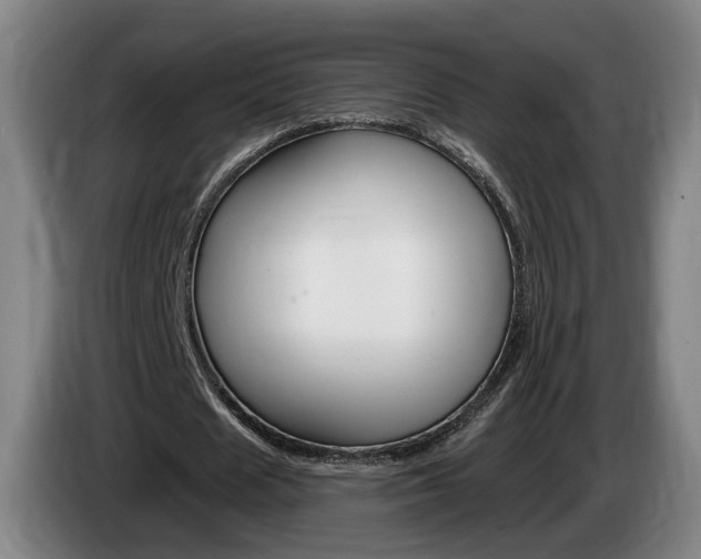 X0000085260625200703090855