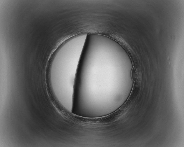 X0000085260626200703090855