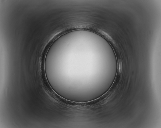 X0000085260627200703090855