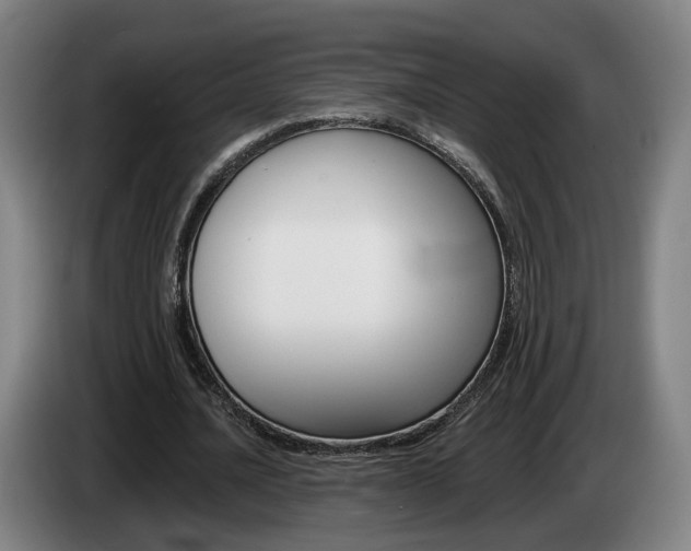 X0000085260628200703090855