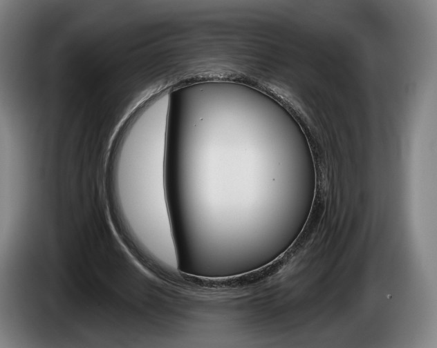 X0000085260630200703090855