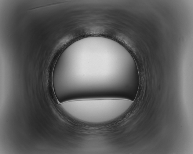 X0000085260631200703090855