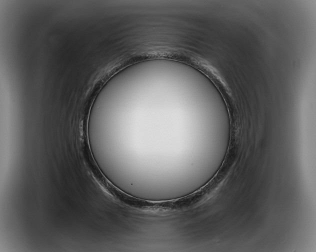 X0000085260633200703090855