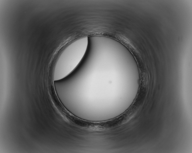 X0000085260634200703090855