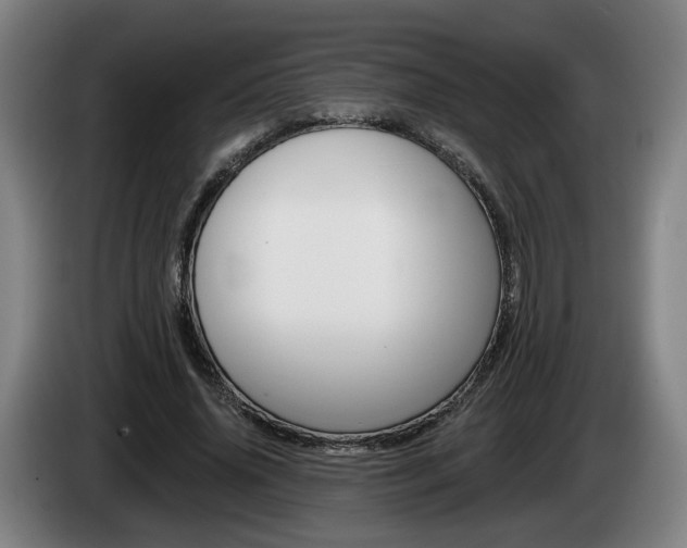 X0000085260636200703090855