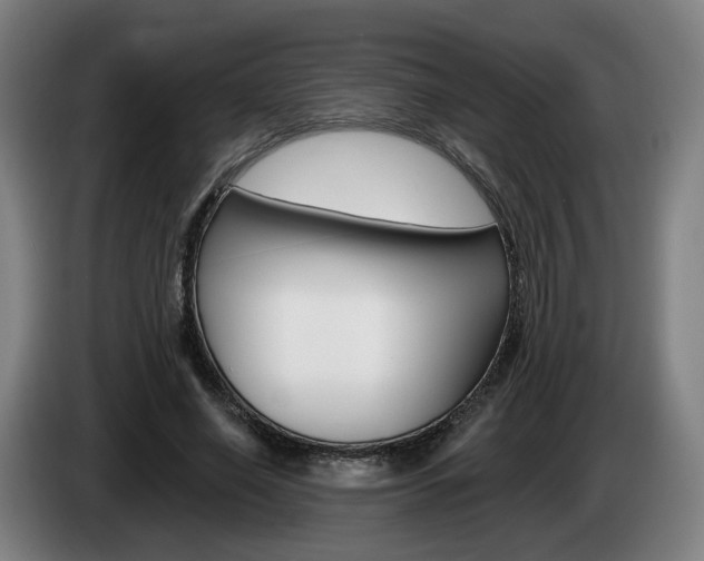 X0000085260638200703090855