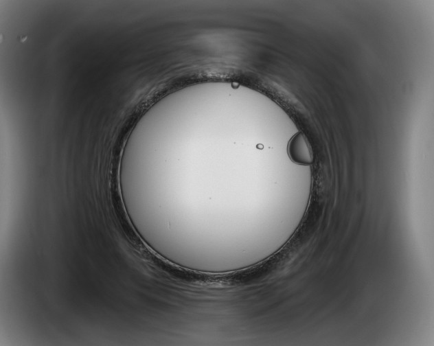 X0000085260639200703090855