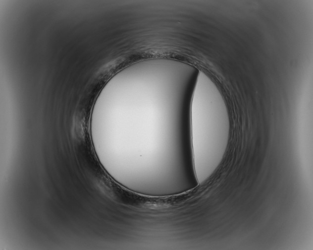 X0000085260644200703090856