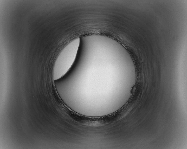 X0000085260646200703090856