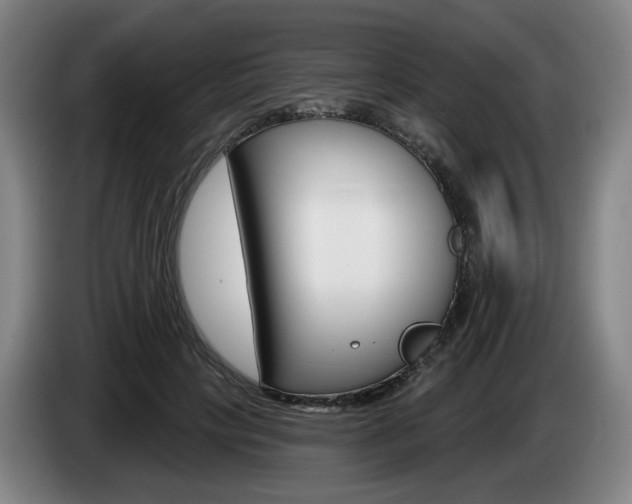 X0000085260649200703090856