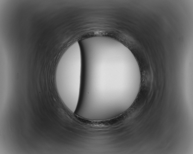 X0000085260650200703090856