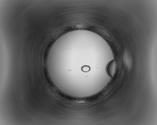 X0000085260651200703090856