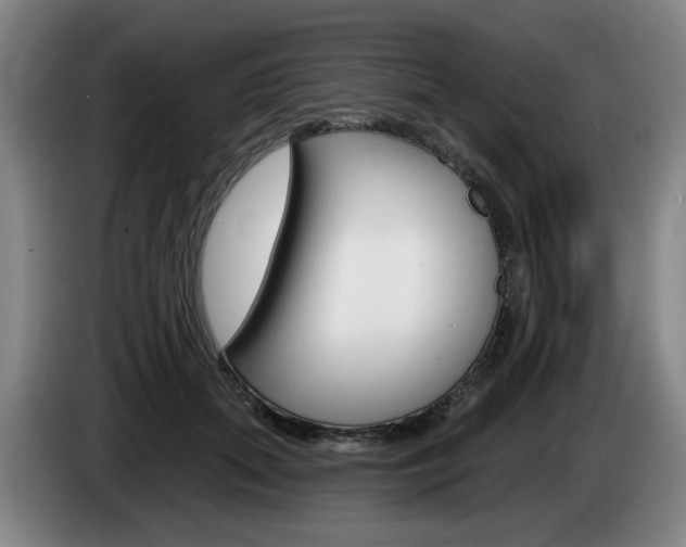 X0000085260655200703090856