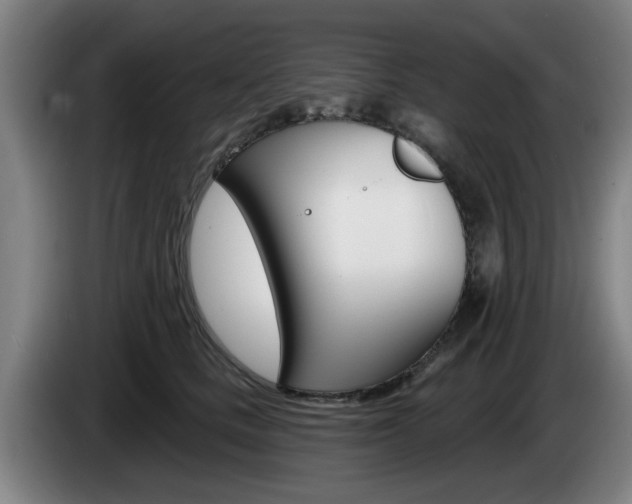 X0000085260661200703090856