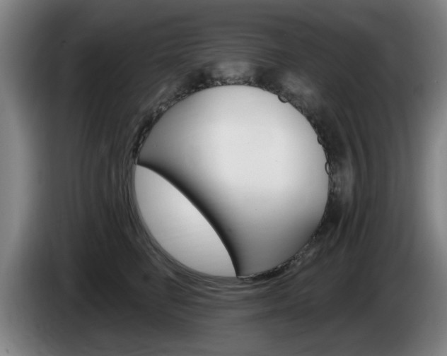 X0000085260662200703090856