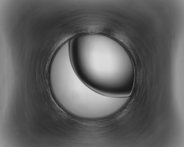 X0000085260673200703090855