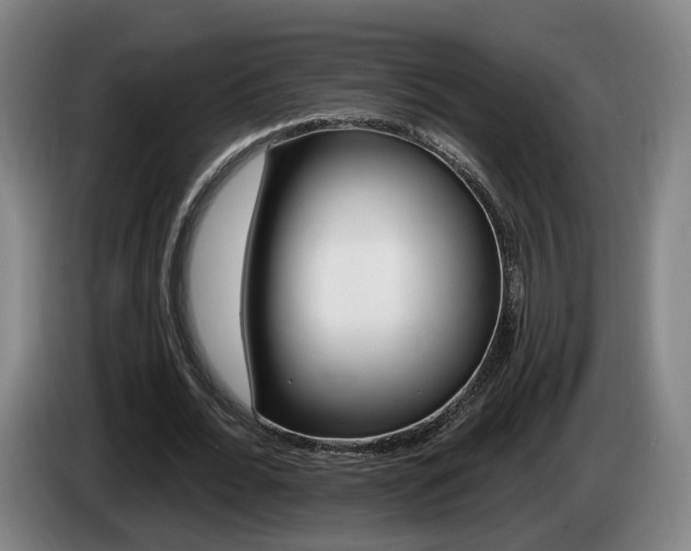 X0000085260676200703090855