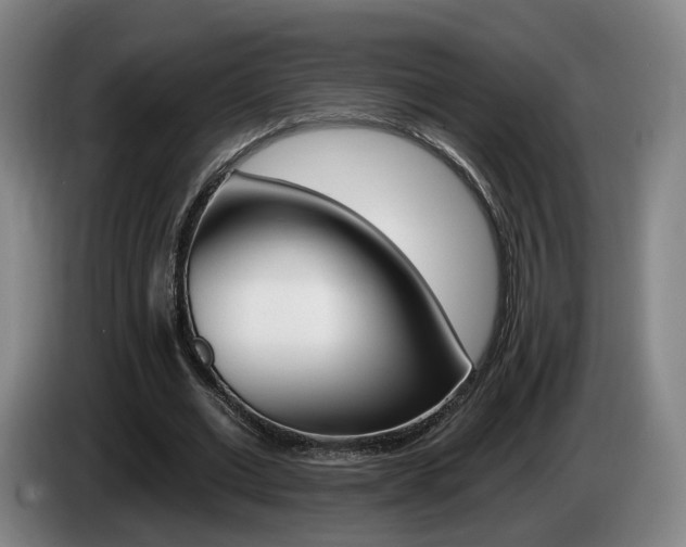 X0000085260677200703090855