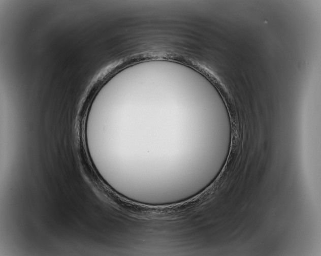 X0000085260678200703090855