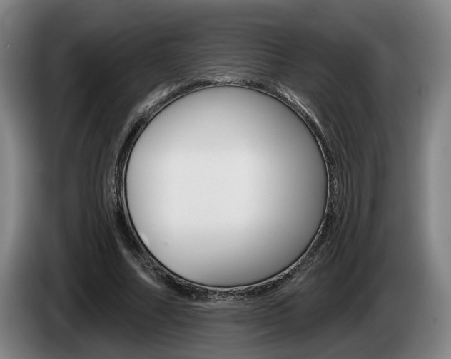 X0000085260682200703090855