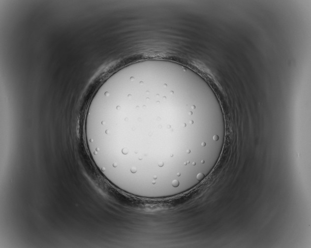 X0000085260686200703090855