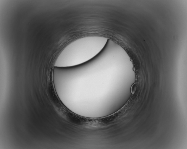 X0000085260695200703090855