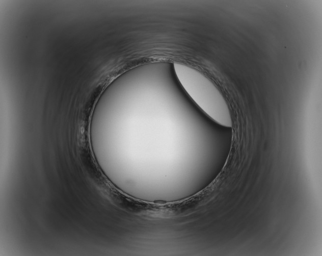 X0000085260696200703090855