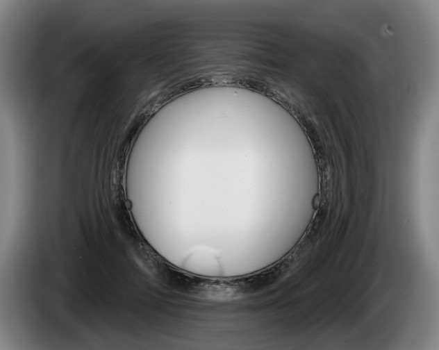 X0000085260698200703090855