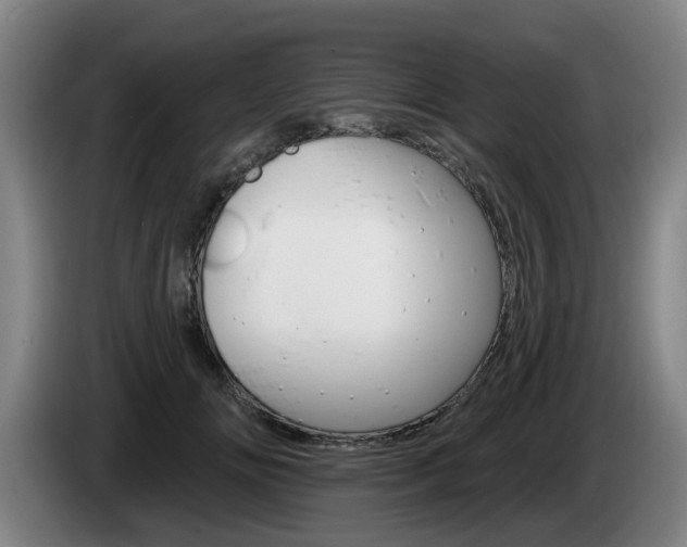 X0000085260702200703090855