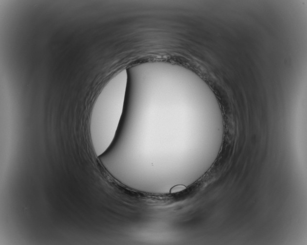 X0000085260707200703090855