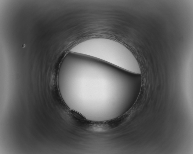 X0000085260708200703090855