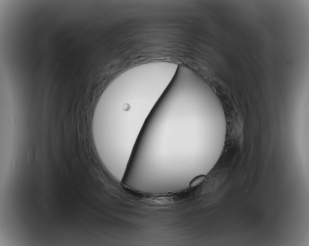 X0000085260711200703090855