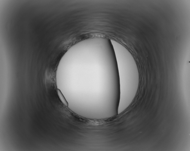 X0000085260713200703090855