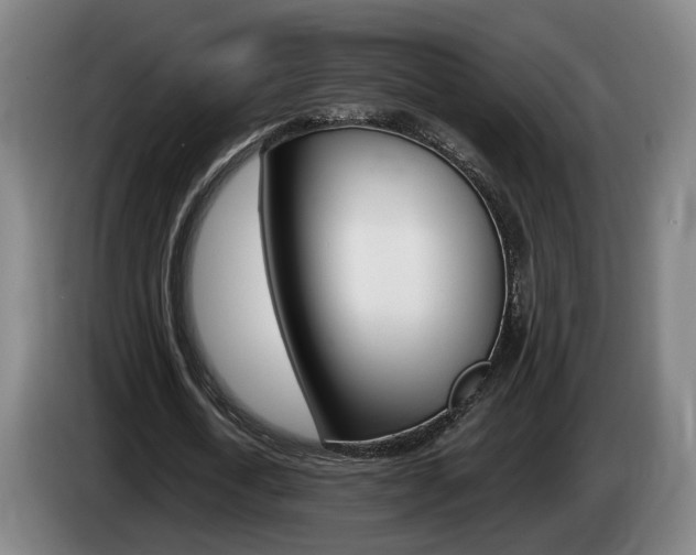 X0000085260722200703090854