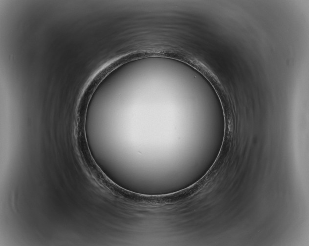 X0000085260724200703090854