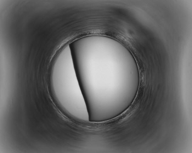 X0000085260725200703090854