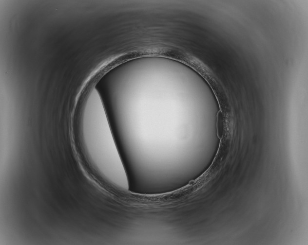 X0000085260726200703090854