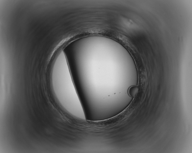 X0000085260727200703090854