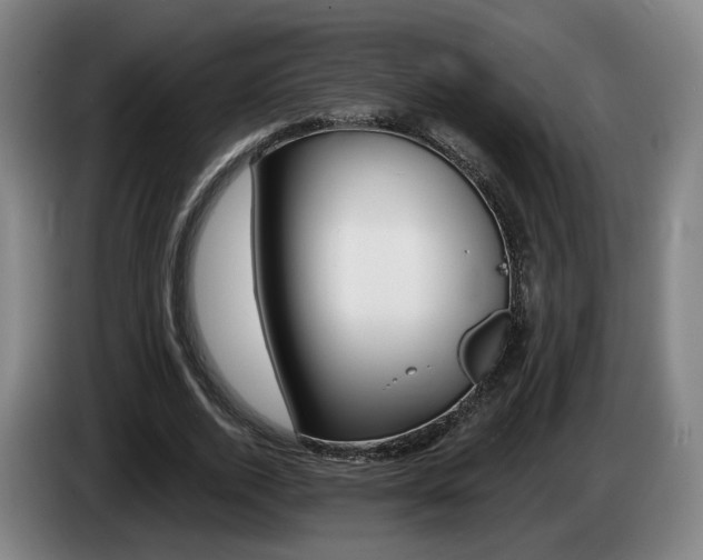 X0000085260728200703090854