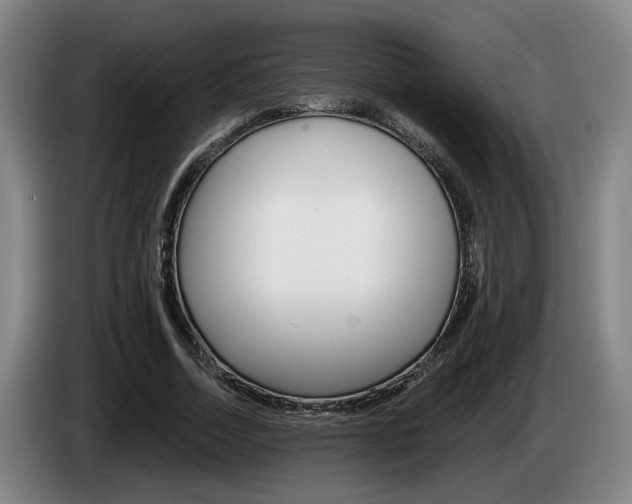 X0000085260730200703090854